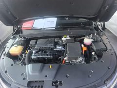 BYD Destroyer 05 Champion Edition DM-i 55KM Distinguished - ფოტო 20