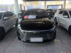 BYD Destroyer 05 Champion Edition DM-i 55KM Distinguished - ფოტო 3