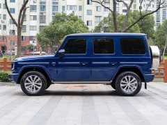 Mercedes-Benz G-Class G 350 - ფოტო 4