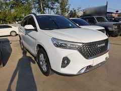 Haval M6 PLUS 1.5T DCT Luxury Smart Connected Edition - ფოტო 4