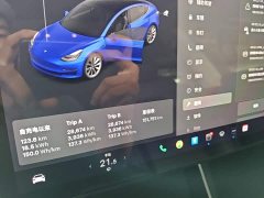 Tesla Model 3 2020 Facelift Standard Range RWD Upgrade - ფოტო 8