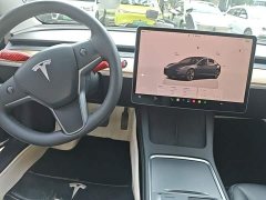 Tesla Model 3 Rear-Wheel Drive - ფოტო 10