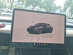 Tesla Model 3 Rear-Wheel Drive - ფოტო 13
