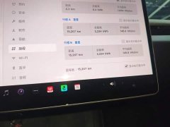Tesla Model 3 Rear-Wheel Drive - ფოტო 12