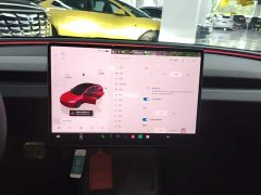 Tesla Model 3 Rear-Wheel Drive - ფოტო 13