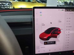 Tesla Model 3 Rear-Wheel Drive - ფოტო 14
