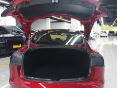 Tesla Model 3 Rear-Wheel Drive - ფოტო 19