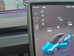 Tesla Model 3 Long Range All-Wheel Drive - ფოტო 14