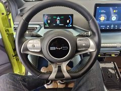 BYD Seagull Flying Edition - ფოტო 11