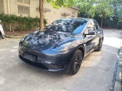 Tesla Model Y Rear-Wheel Drive - ფოტო 2