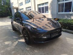 Tesla Model Y Rear-Wheel Drive - ფოტო 4