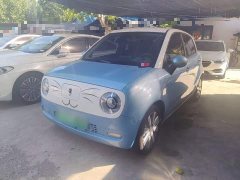 ORA Black Cat 351km Standard - ფოტო 2