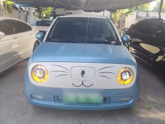 ORA Black Cat 351km Standard - ფოტო 3