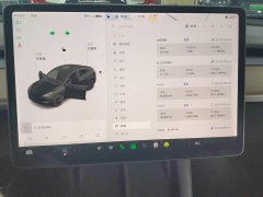 Tesla Model Y Standard Range RWD - ფოტო 12