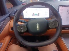 Great Wall WEY Shanshan New Energy Four-Wheel Drive Shanshan 7 - ფოტო 11