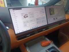 Great Wall WEY Shanshan New Energy Four-Wheel Drive Shanshan 7 - ფოტო 13