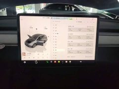 Tesla Model Y Rear-Wheel Drive - ფოტო 13