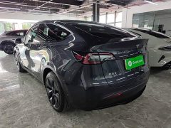Tesla Model Y Rear-Wheel Drive - ფოტო 5