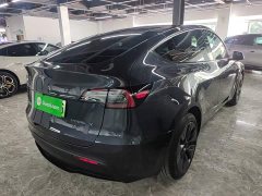 Tesla Model Y Rear-Wheel Drive - ფოტო 7