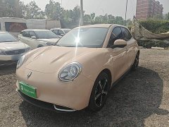 ORA Good Cat 401km Luxury - ფოტო 1