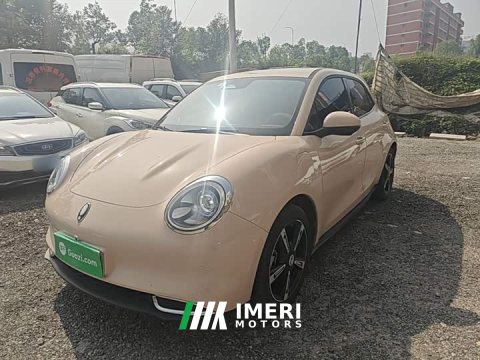 2024 ORA Good Cat 401km Luxury - ავტომობილი ჩინეთიდან