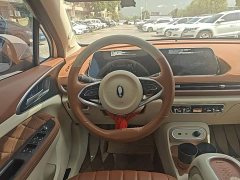 ORA Good Cat 401km Luxury - ფოტო 11