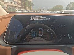 ORA Good Cat 401km Luxury - ფოტო 12