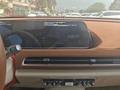 ORA Good Cat 401km Luxury - ფოტო 13