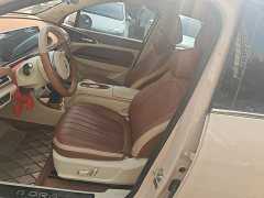 ORA Good Cat 401km Luxury - ფოტო 15