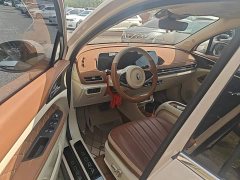 ORA Good Cat 401km Luxury - ფოტო 16