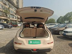 ORA Good Cat 401km Luxury - ფოტო 19