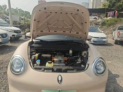 ORA Good Cat 401km Luxury - ფოტო 20