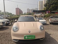 ORA Good Cat 401km Luxury - ფოტო 3