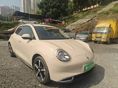 ORA Good Cat 401km Luxury - ფოტო 4