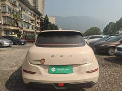 ORA Good Cat 401km Luxury - ფოტო 6