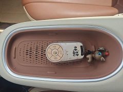 ORA Good Cat 401km Luxury - ფოტო 9