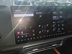Li Auto L9 2022 Max - ფოტო 13