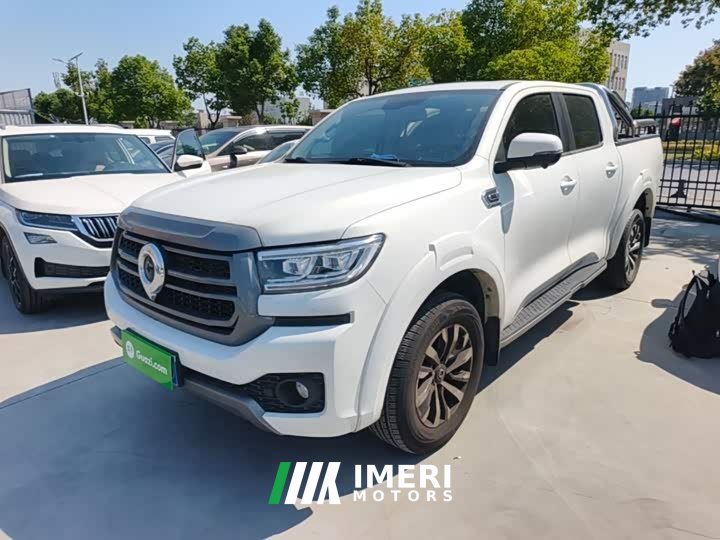 Ora Cannon 2.4T Passenger Automatic Diesel 4WD Comfort - ავტომობილი ჩინეთიდან