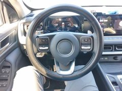 Ora Cannon 2.4T Passenger Automatic Diesel 4WD Comfort - ფოტო 11