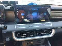Ora Cannon 2.4T Passenger Automatic Diesel 4WD Comfort - ფოტო 13