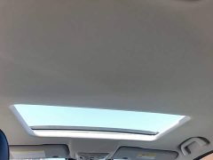Ora Cannon 2.4T Passenger Automatic Diesel 4WD Comfort - ფოტო 18