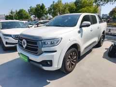 Ora Cannon 2.4T Passenger Automatic Diesel 4WD Comfort - ფოტო 2