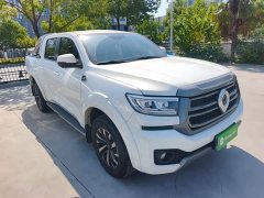 Ora Cannon 2.4T Passenger Automatic Diesel 4WD Comfort - ფოტო 4