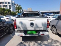 Ora Cannon 2.4T Passenger Automatic Diesel 4WD Comfort - ფოტო 6
