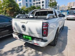 Ora Cannon 2.4T Passenger Automatic Diesel 4WD Comfort - ფოტო 7