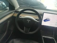 Tesla Model 3 Standard Range RWD Upgrade 3D6 - ფოტო 11