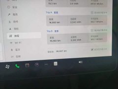 Tesla Model 3 Standard Range RWD Upgrade 3D6 - ფოტო 12