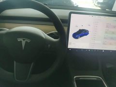 Tesla Model 3 Standard Range RWD Upgrade 3D6 - ფოტო 14