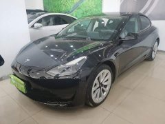 Tesla Model 3 Standard Range RWD Upgrade 3D6 - ფოტო 2