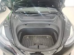 Tesla Model 3 Standard Range RWD Upgrade 3D6 - ფოტო 20